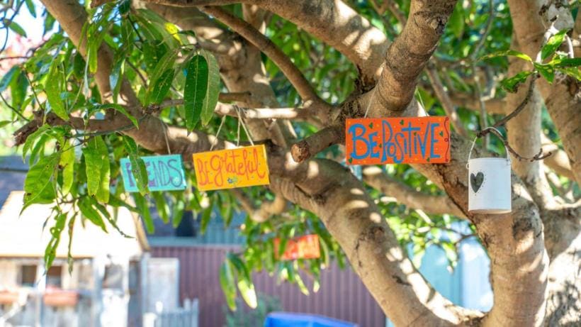 Plaquinhas com mensagens positivas penduradas na árvore do quintal do Family Day Care